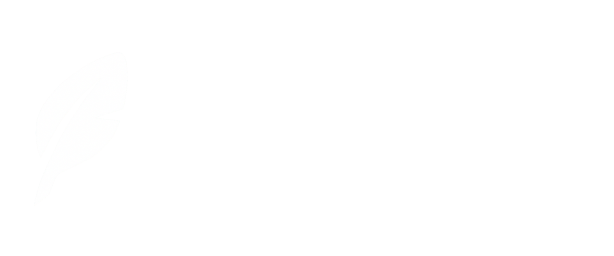 LitePost CMS